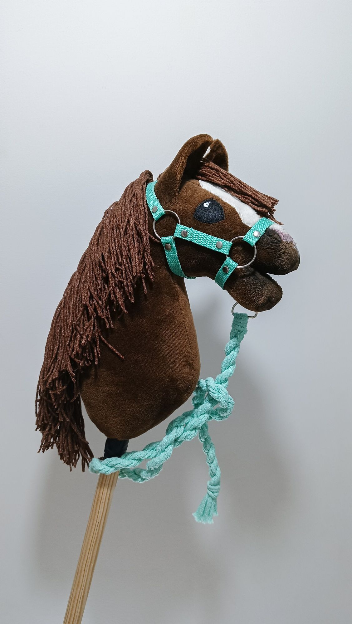 Hobby Horse A5 z kantarem