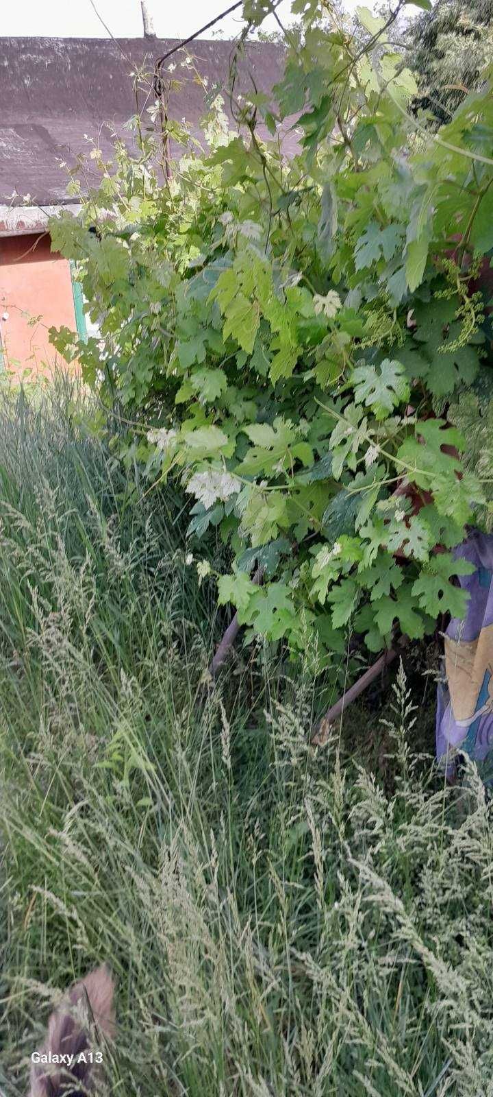 Продам дом на Западном