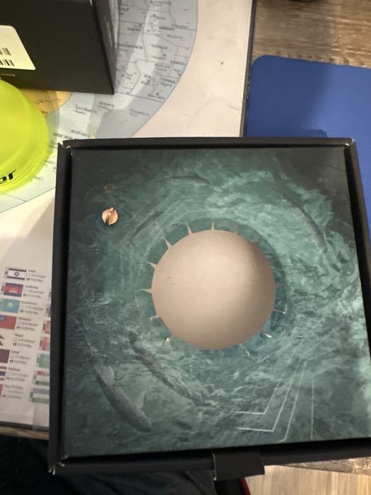 Echosonda Deeper Chirp+ z dodatkami- stan idealny