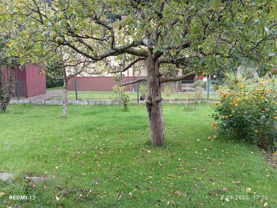 Sprzedam działkę ogrodniczą Wejherowo, Sucharskiego