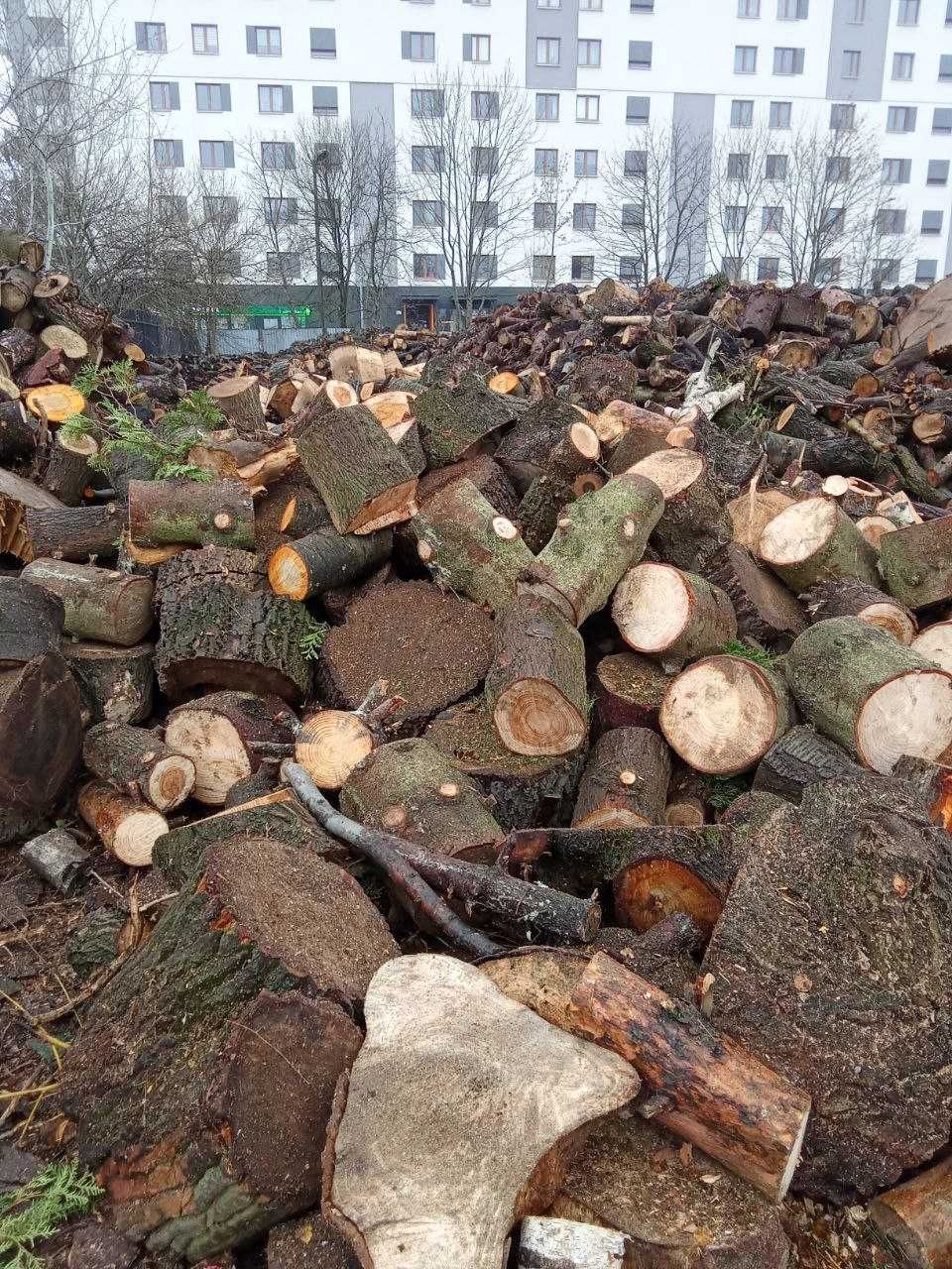 Drewno łupane opałowe/kominkowe