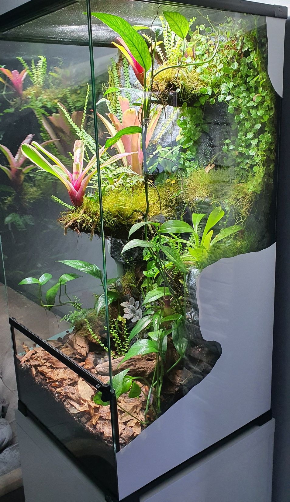 Terrarium, paludarium z wystrojem  i  szafką