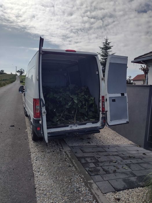 Jesienne pożądki ,wywóz odpadów, pielęgnacje ogrodu, mycie ciśnieniowe