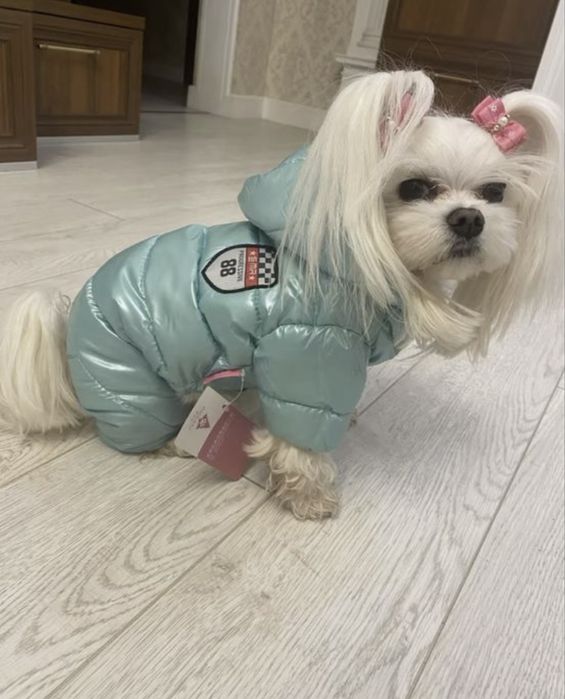 Зимовий комбінезон для песика