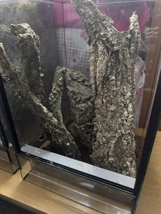 Terrarium 40x40x60 z korkiem