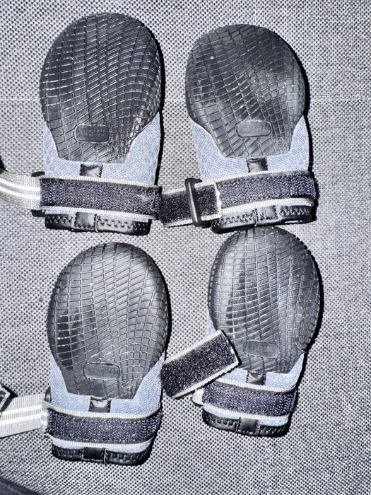 Buciki dla psa dogs creek