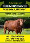 Skup Bydła Rzeźnego i hodowlanego krowy/byki/jałowki/odsadki/cielęta