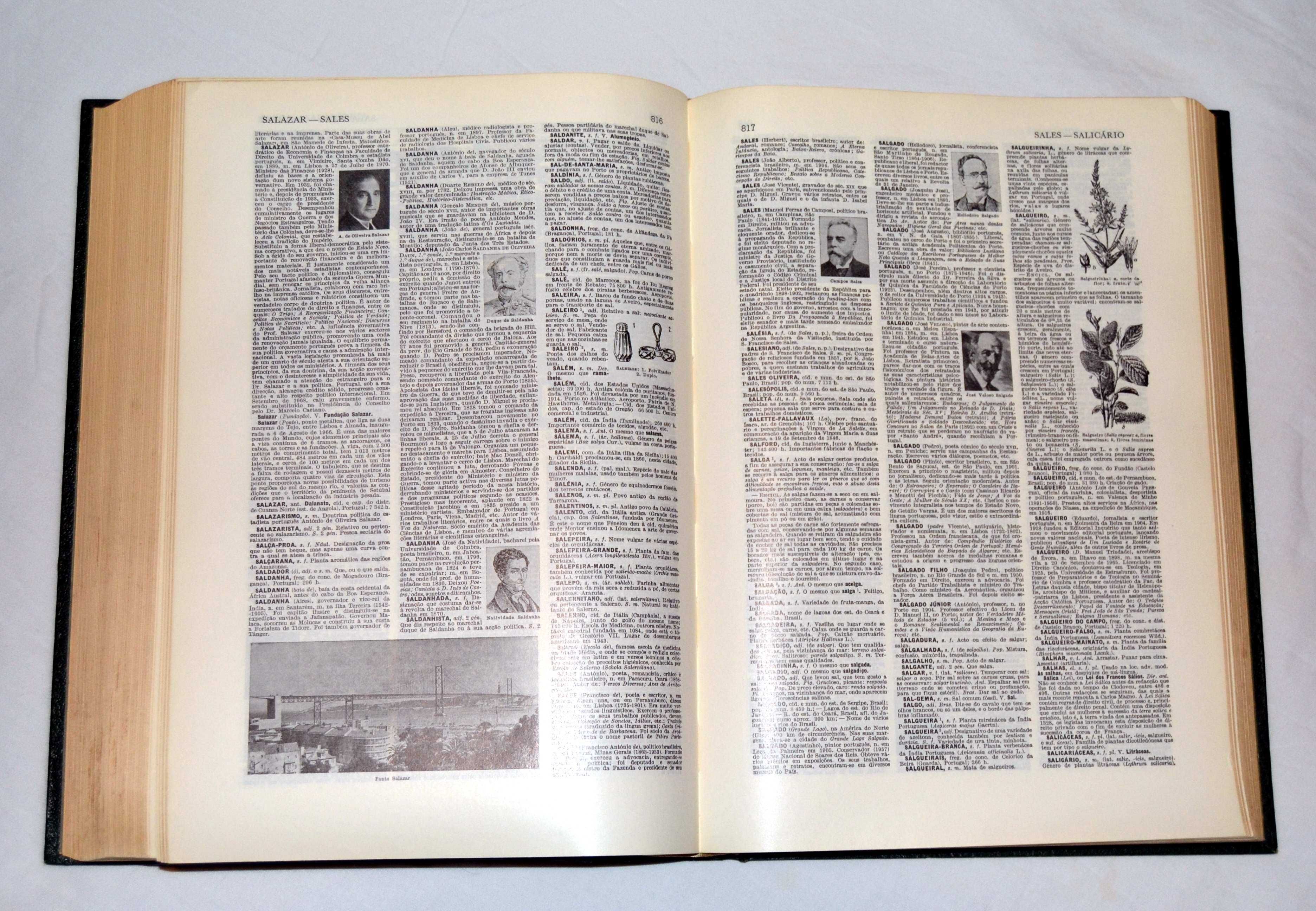 Livros Lello Uni. - Dicionário Enciclopédico Luso Brasileiro 2 Volumes
