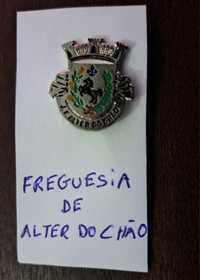 Pin da freguesia de Alter do Chão