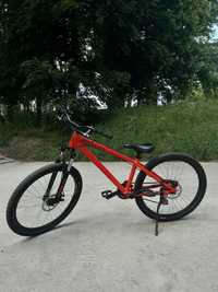 Rower Dirt Kellys Whip 10 2020