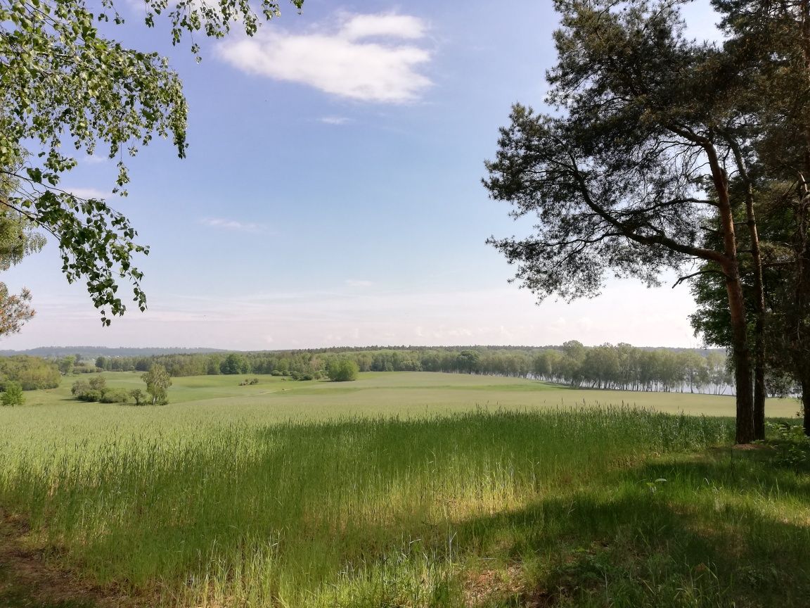 Działka nad jeziorem centralna Polska