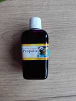 Kit pszczeli propolis ekstrakt krople