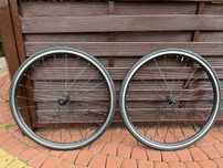 Koła Bontrager TLR