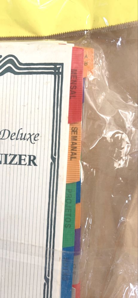 Subsituicao de organizer/fillofax