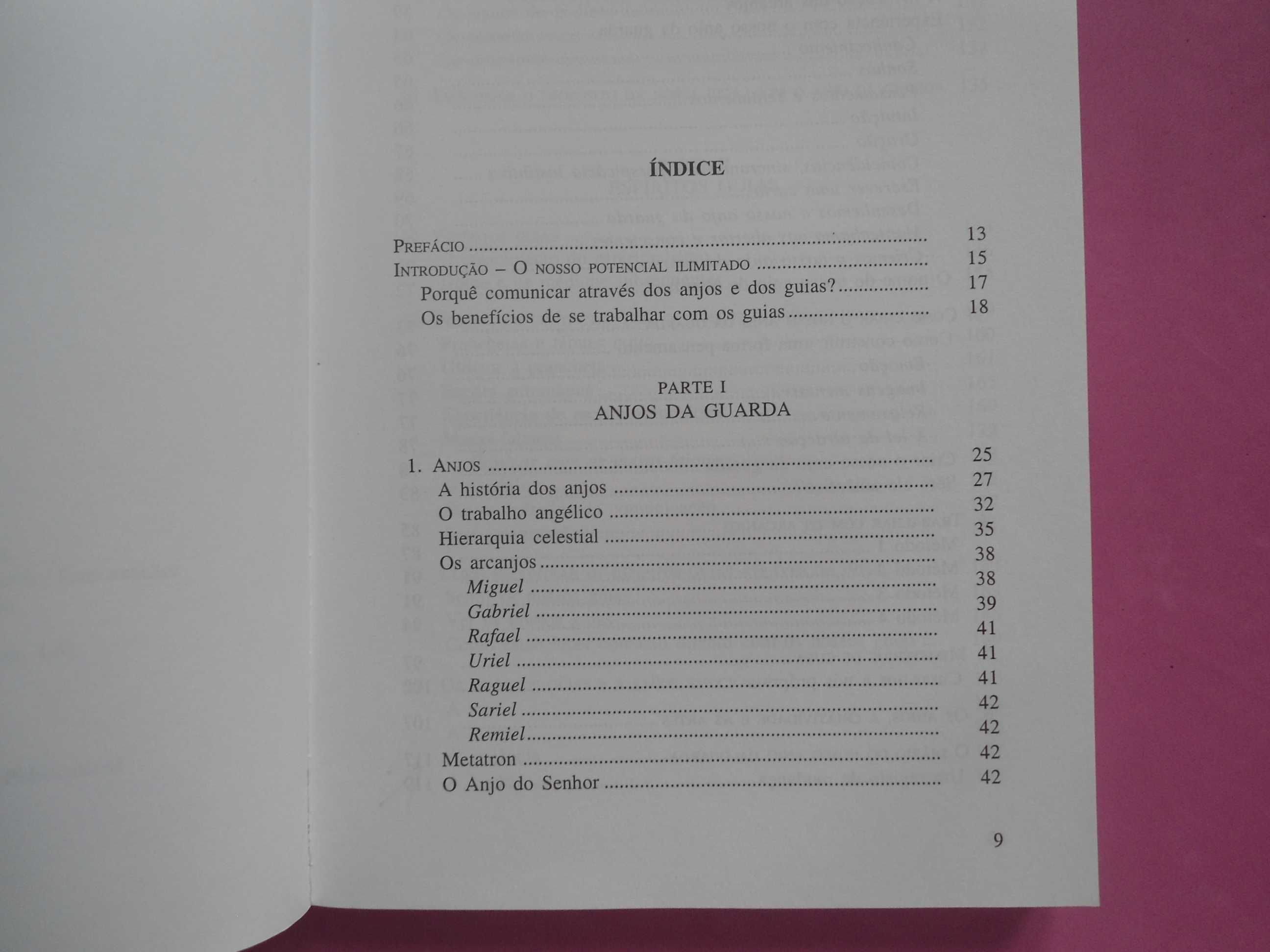 Espíritos Guias e Anjos da Guarda por Richard Webster