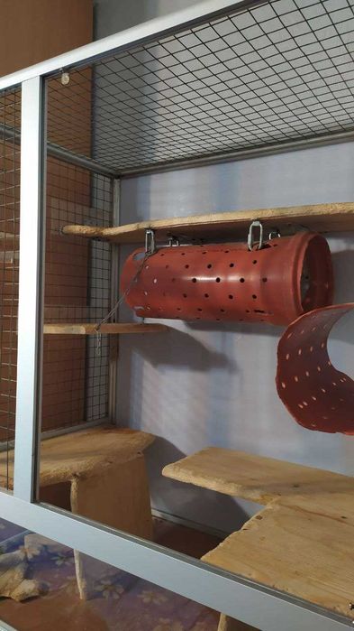 Вітрина-клітка для шиншил