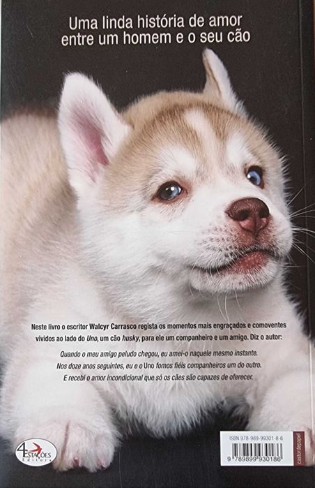 Um Anjo de Quatro Patas