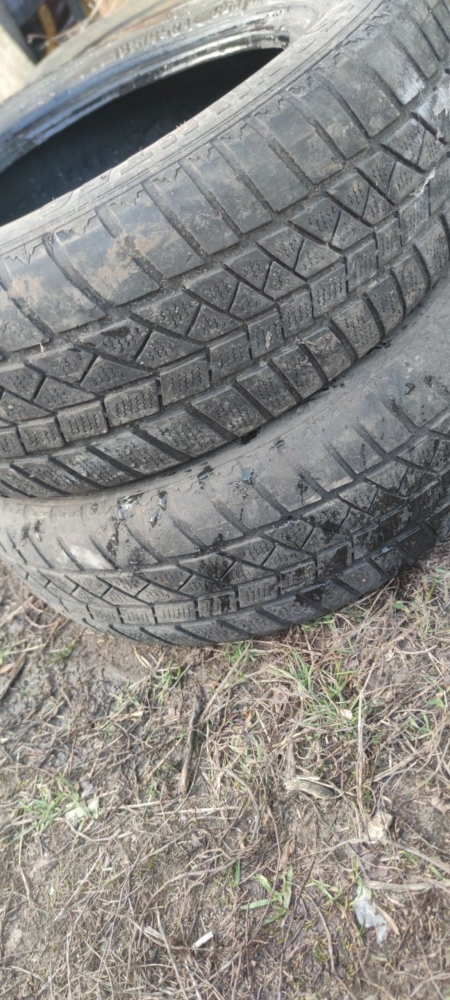 Зимняя резина Pneumant 185/65R14