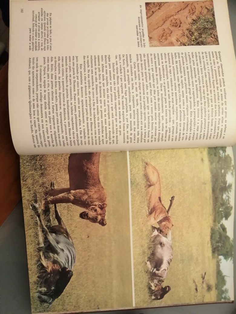 A Fauna Vida e Costumes dos Animais Selvagens Publicações Alfa África*