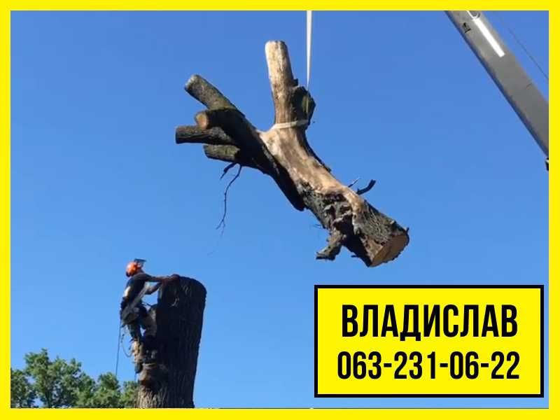 Обрезка и спил деревьев недорого Киев и область. Звоните!