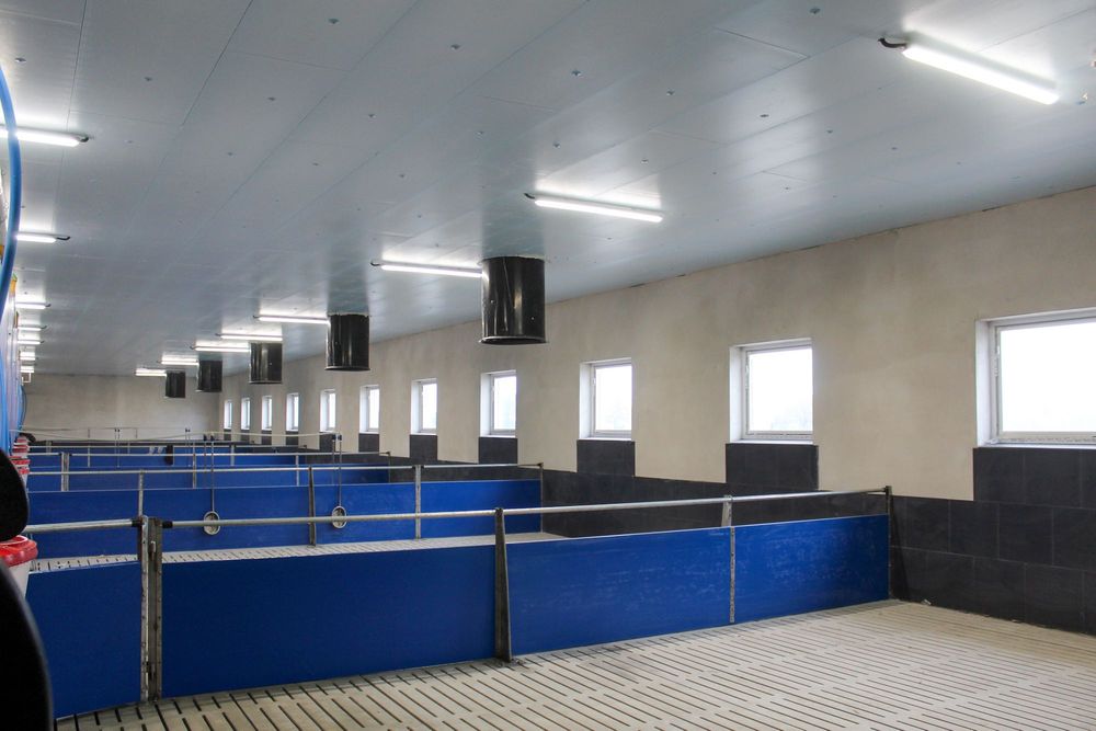 Podbitka Dachowa Budynku Inwentarskiego Magazynowego Styrodur XPS AGRO