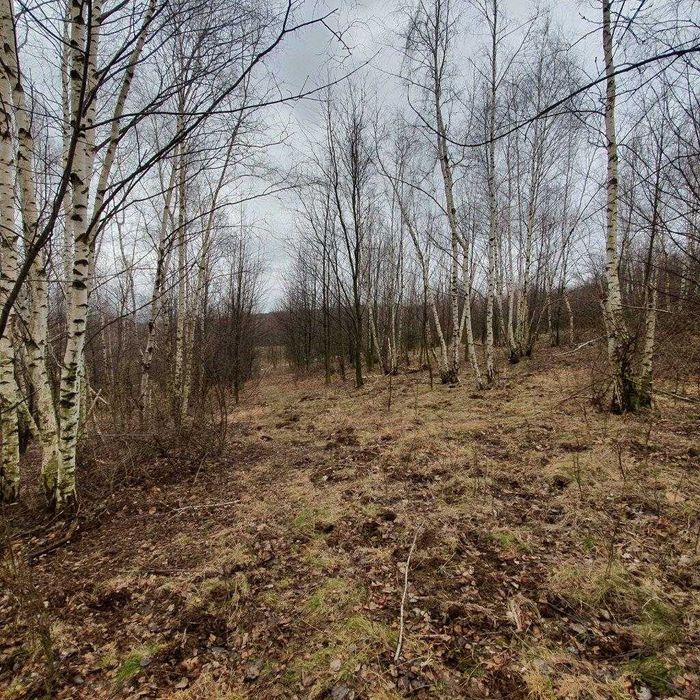 Działki gruntu niezabudowane, Lutomia koło Świdnicy, woj. dolnośląskie