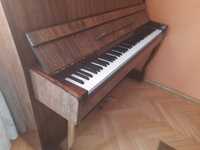 Pianino Nocturno Razno