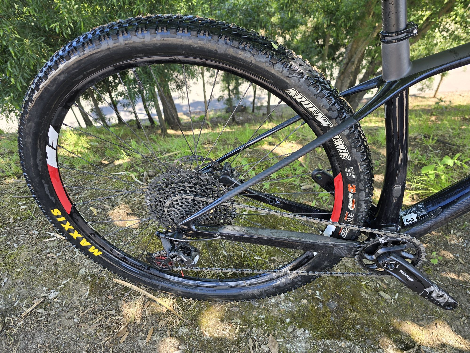 Scott scale 29 12x1v m