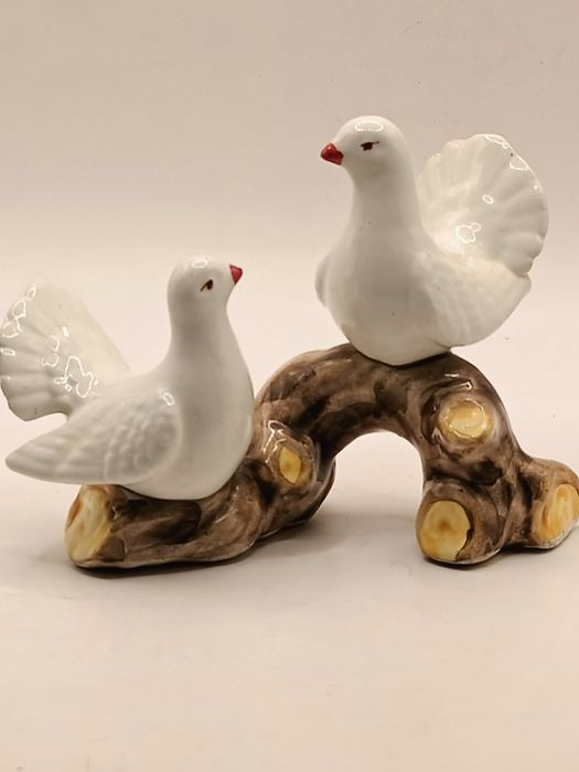 Para gołębi turkawek na gałęzi w Włoskim stylu