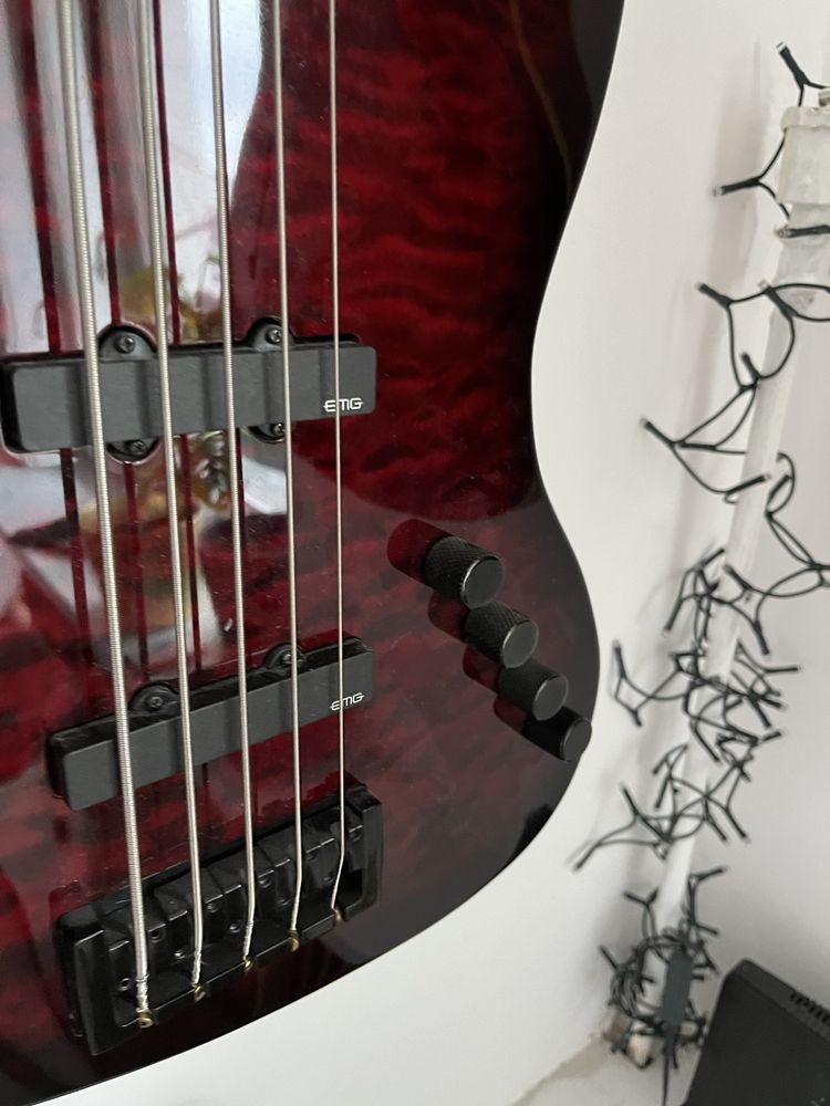 Spector coda pro 5