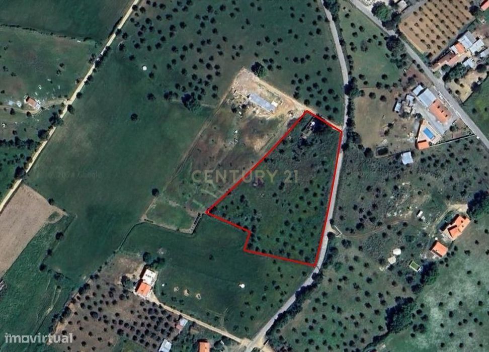 Lote de Terreno com Ruína em Montemor-o-Novo