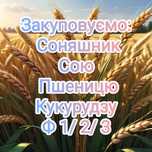 Закуповуємо Соняшник, Сою, Пшеницю, Кукурудзу, Ячмінь.