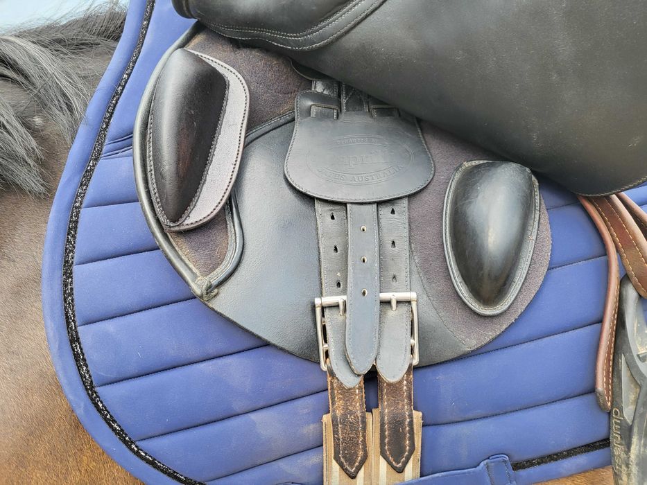 Bates Caprilli 17cali, dwa łęki w zestawie