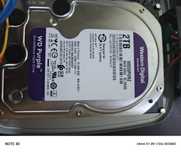 Hdd Western digital 2 tb purple