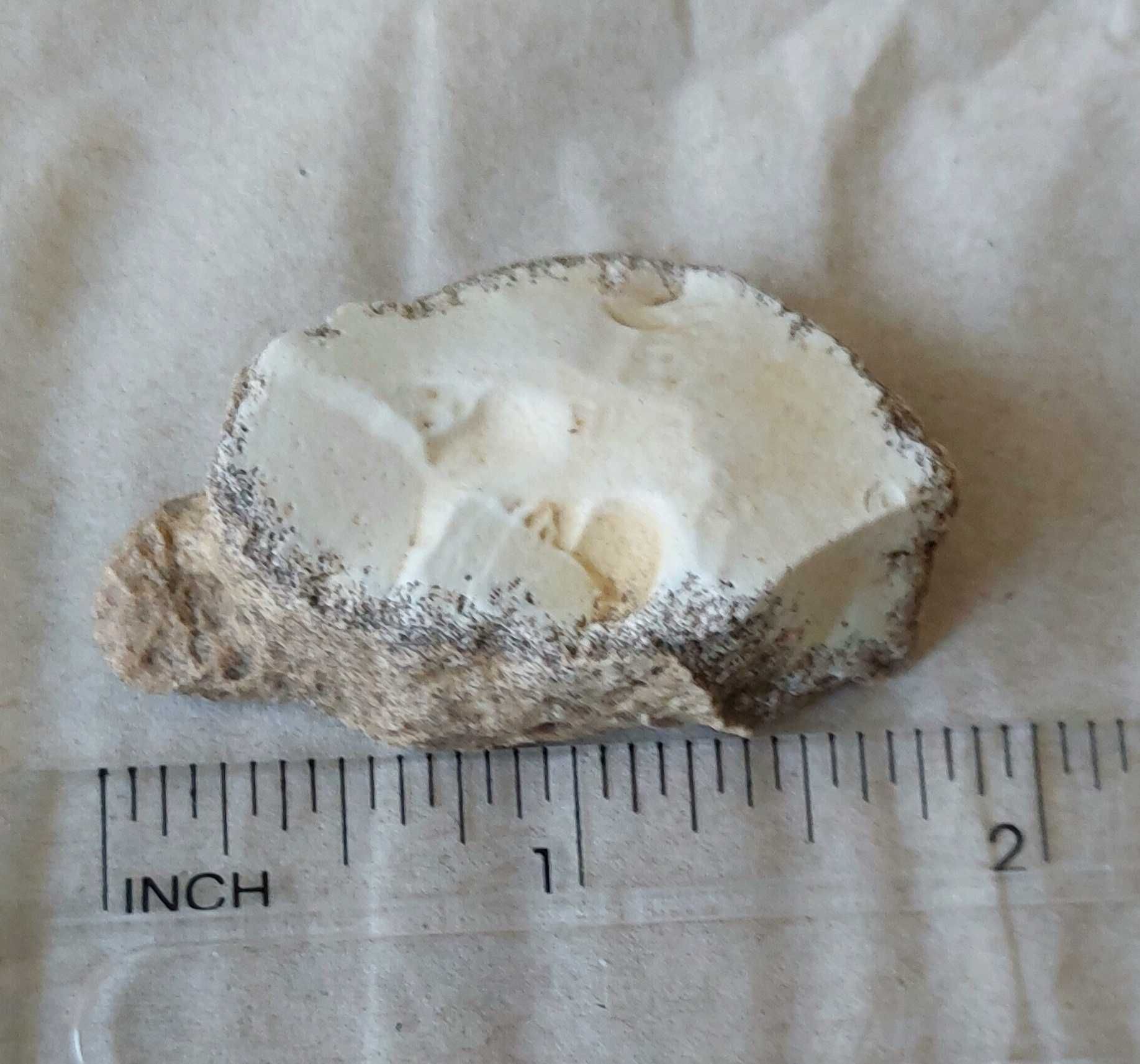 Dendrite Rock, Dendritik rock