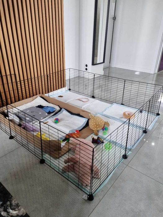 TANI duży stalowy kojec XXL przeznaczony dla szczeniaków młodych psów