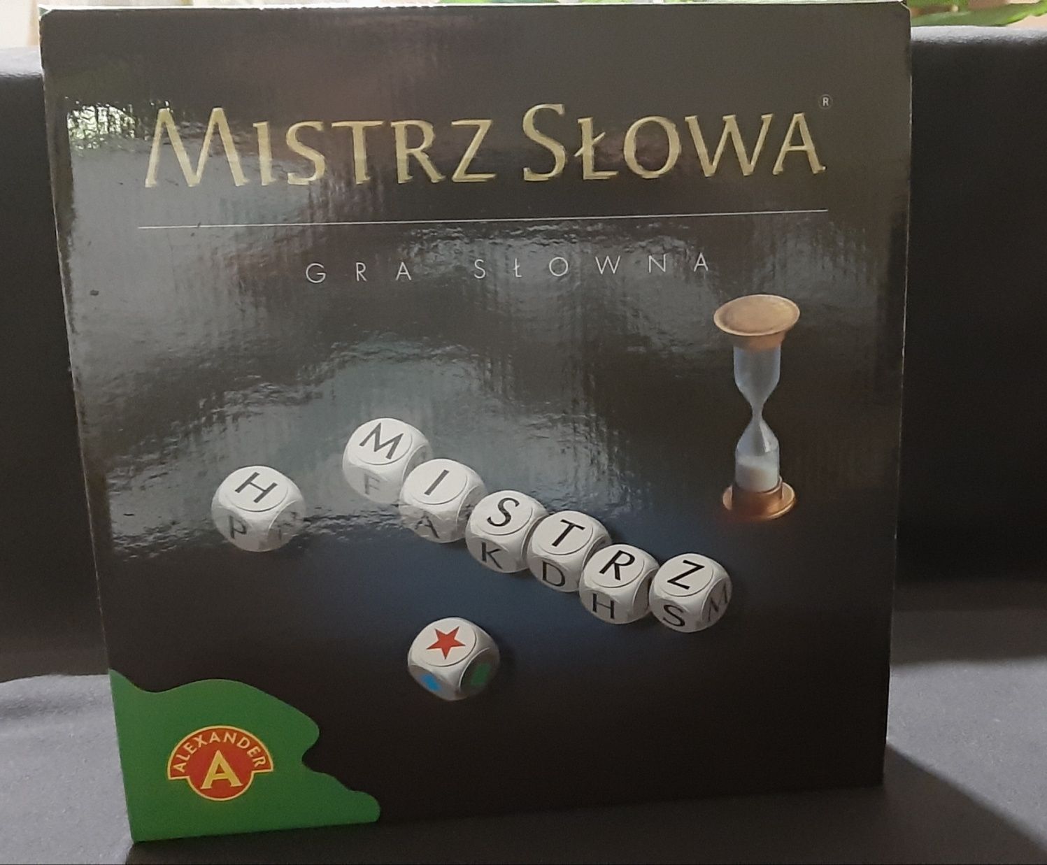 Mistrz słowa gra słowna