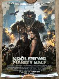 Plakat „królestwo planety małp”