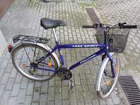 Rower fischer free spirit