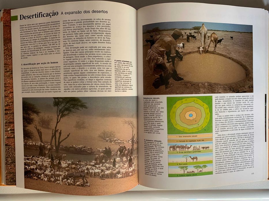 Esta Terra Magnífica