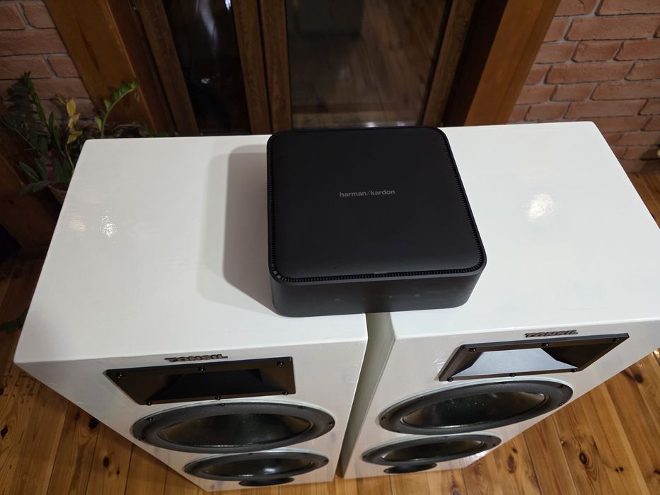 Tonsil Zeus DIY + Harman Kardon Citation Amp - Okazja !!