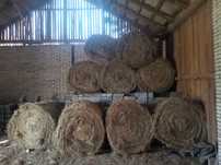 Sprzedam bale siana 120x120
