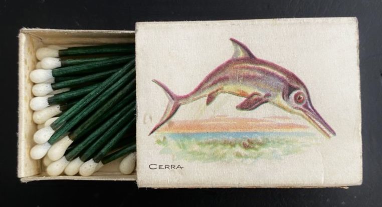 Caixa de Fósforos | Cerra (Ictiosaurio)