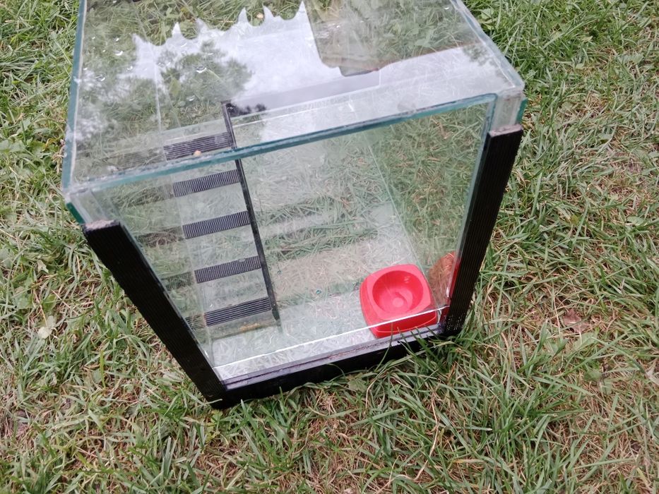 Terrarium 41x25x31