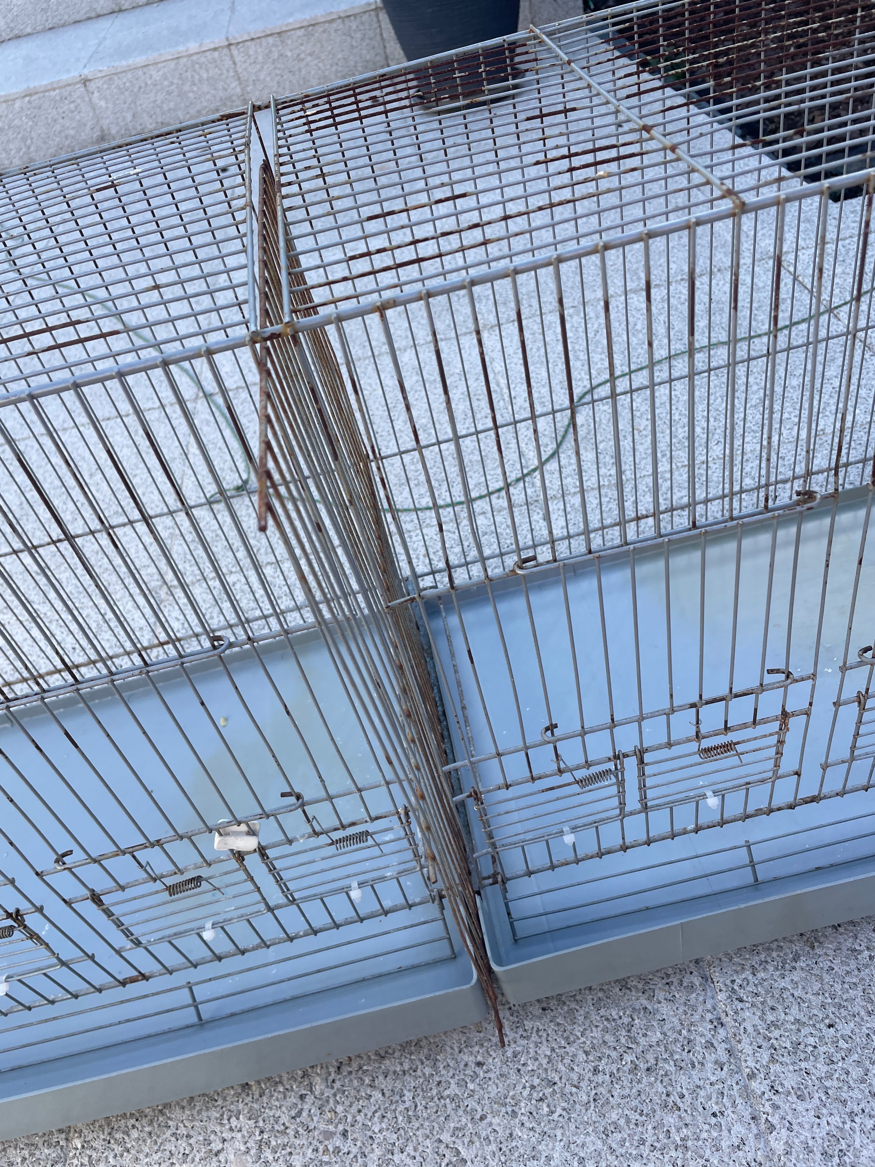 Gaiola de criação de aves de pequeno porte