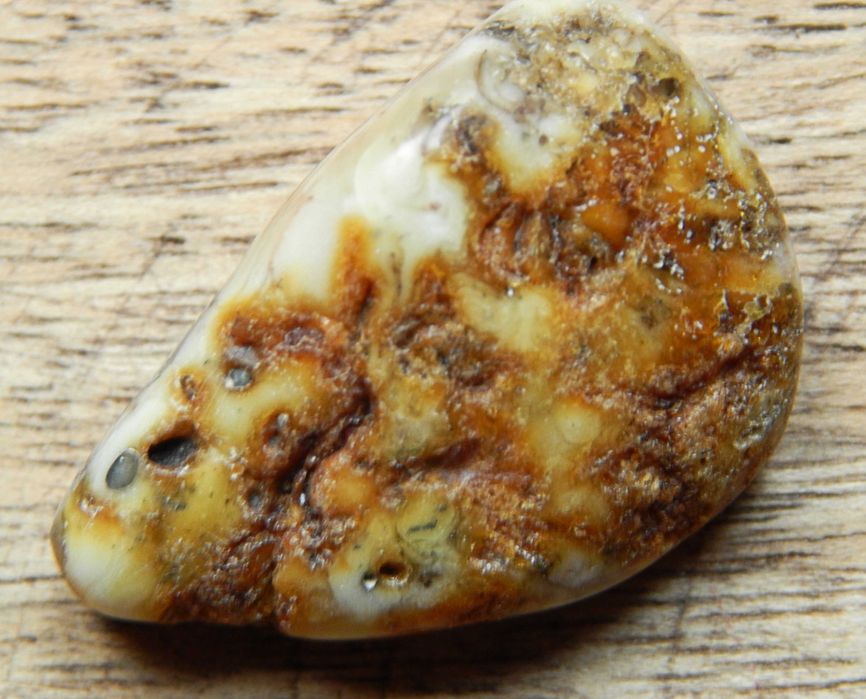 Bursztyn bałtycki, multikolor, ok. 5,01g