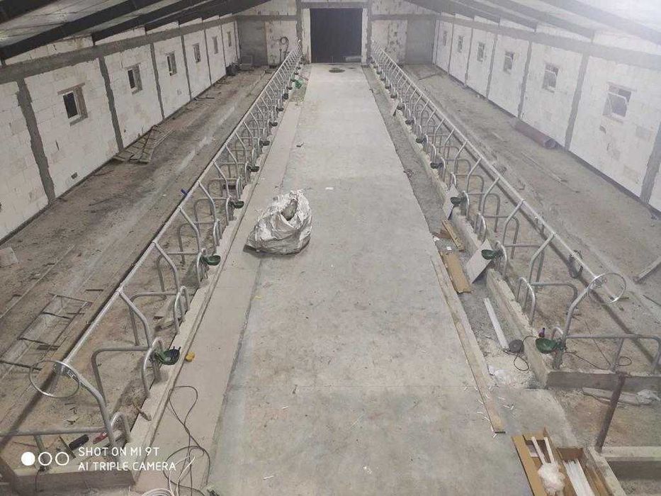 Wygrodzenia stanowiska przegrody dla bydła krów bramki