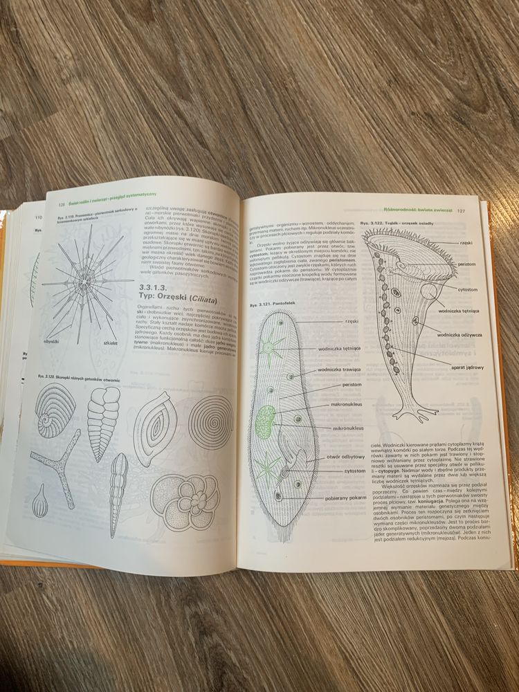 Biologia ze ślimakiem podręcznik biologia