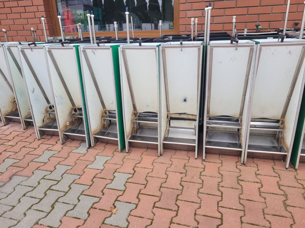 Automat Paszowy na Mokro Paśnik Karmnik dla tucznika