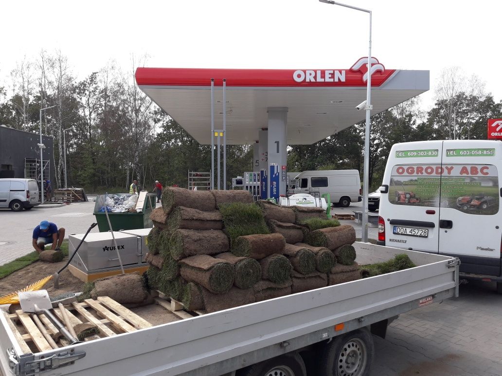 Zakładanie trawników siew trawa z rolki usługi glebogryzarka, koszenie